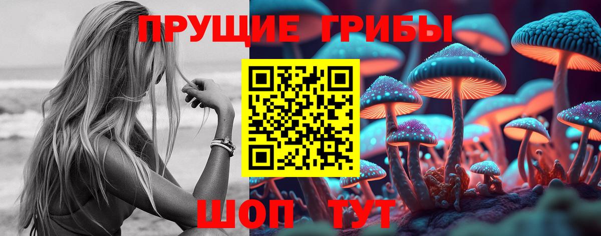 где купить наркотик  Вход с VPN  Орёл  Псилоцибиновые грибы мухоморы  Галлюциногенные грибы прущие грибы 